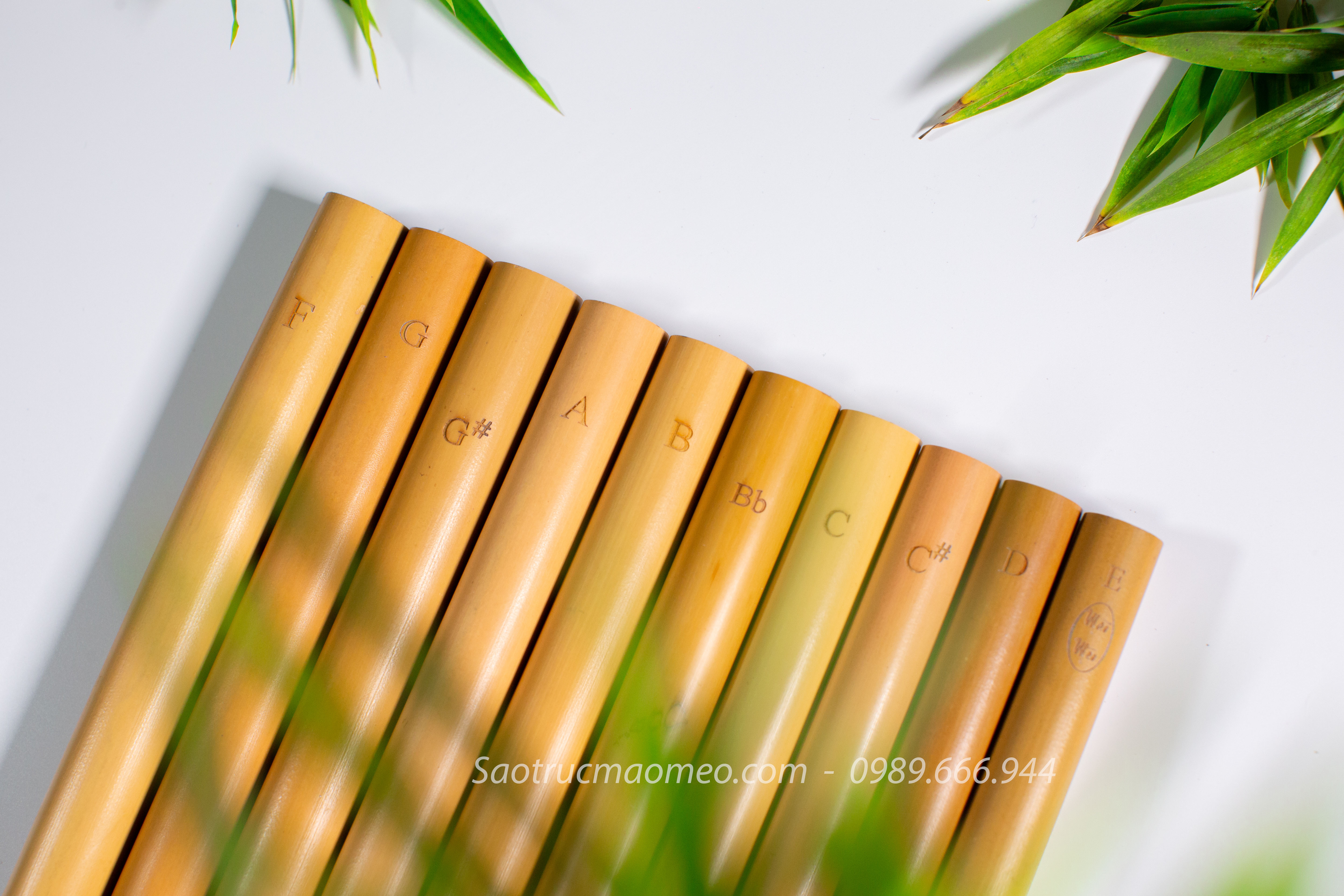  Bộ sáo Chuyên nghiệp HD3 VIP