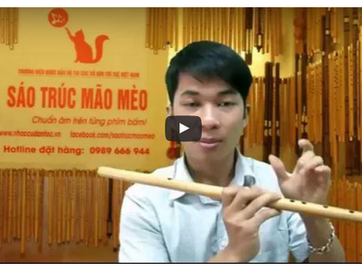  Hướng dẫn thổi sáo Xuân này con không về