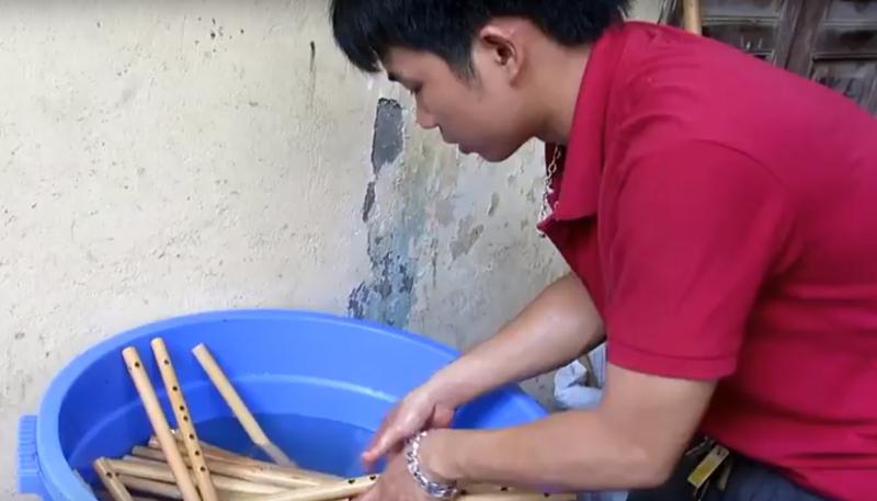  Cách tiêu diệt mối, mọt của sáo trúc Mão Mèo