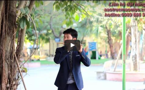  Áo mới cà mau - Sáo trúc Mão Mèo