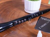 Sáo điện tử s200