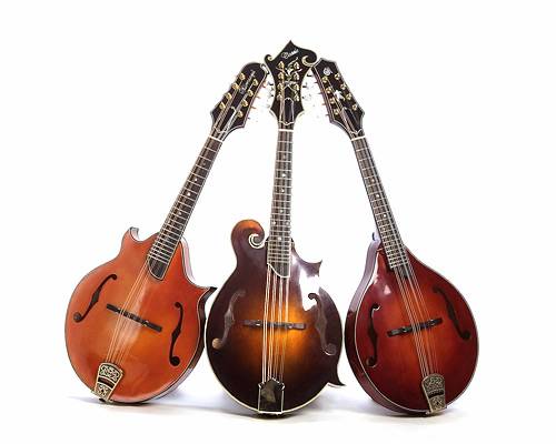  Mandolin M1