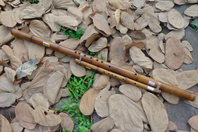  Sáo mèo kép viêt (trúc hun khói)